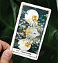 Tarot mazo Baraja de Tarot Desolate silenciosa 78 cartas - Miniatura 3