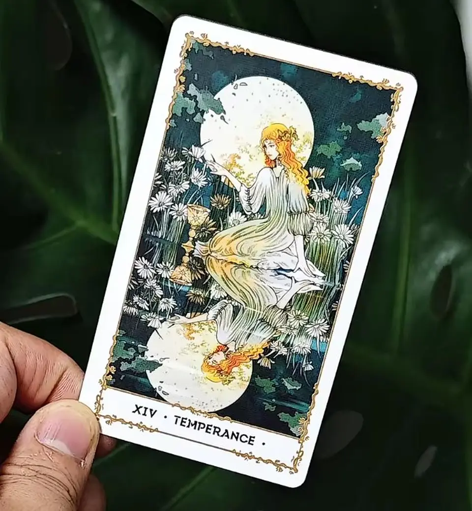 Tarot mazo Baraja de Tarot Desolate silenciosa 78 cartas 3