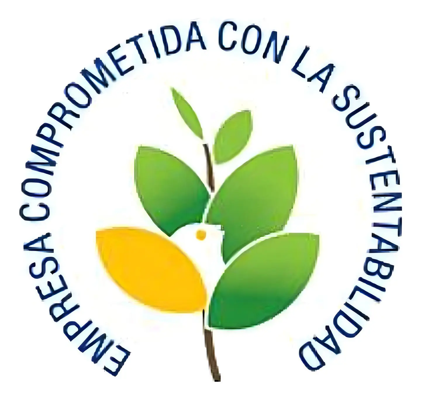 Detergente Neutro Limpiador Pasto Sintético 5 Litros 2