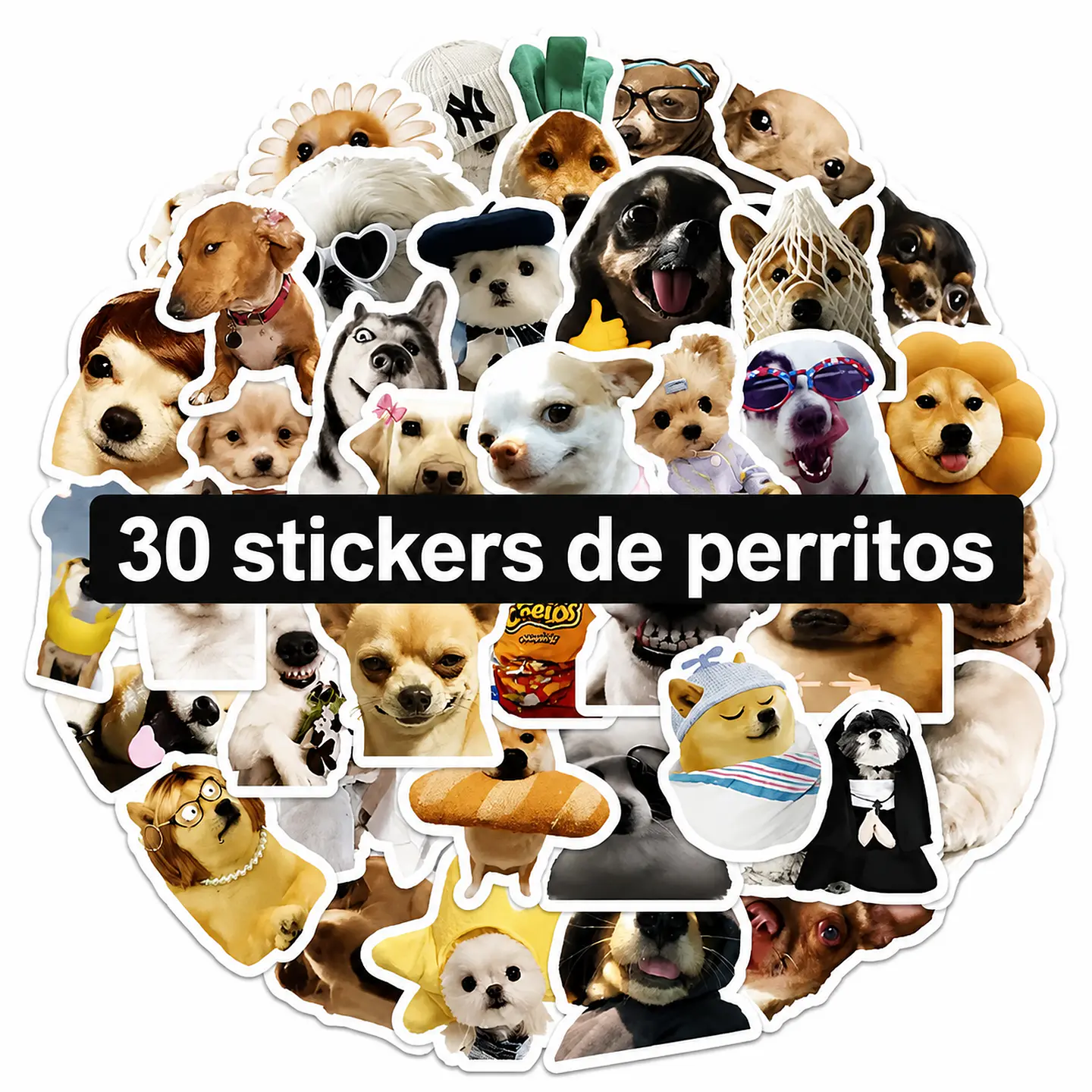 Sticker perrito meme 30 en pack para regalo 1