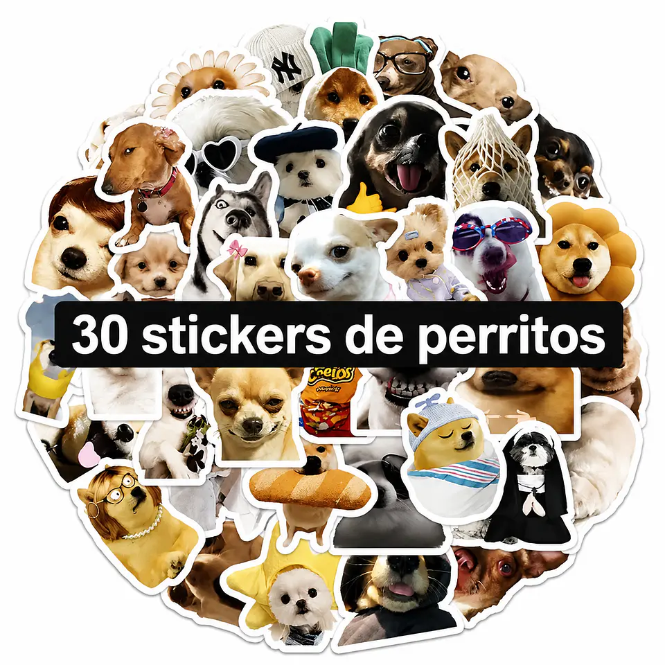 Sticker perrito meme 30 en pack para regalo 1