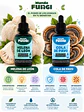 Pack X2 Melena León + Cola de pavo suplemento 50ml suplemento - Miniatura 2