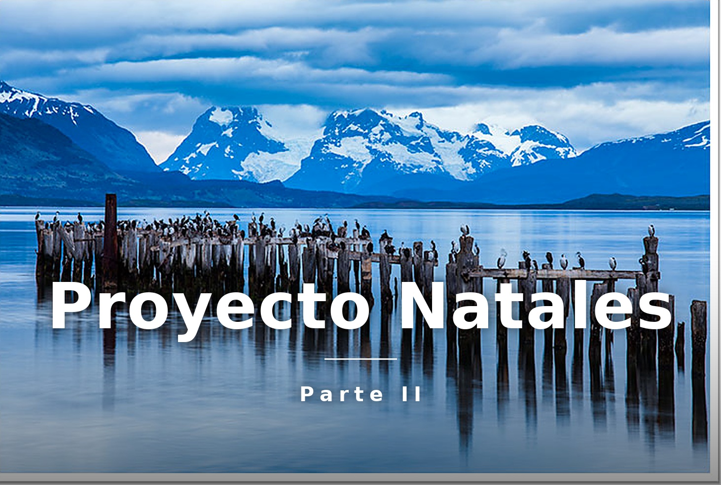 De la emergencia al éxito: el Proyecto Natales (segunda parte)