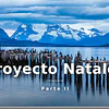 De la emergencia al éxito: el Proyecto Natales (segunda parte)