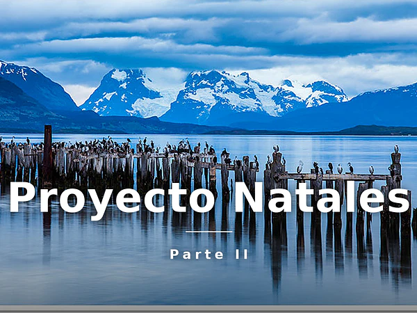 De la emergencia al éxito: el Proyecto Natales (segunda parte)
