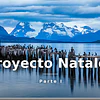 De la emergencia al éxito: el Proyecto Natales (primera parte)