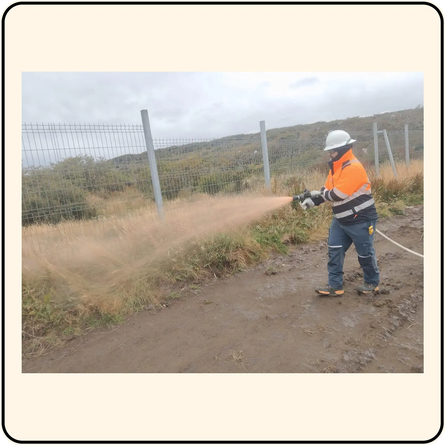 Trabajos de prevención de incendios 1