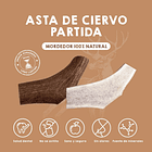 Asta de ciervo partida L 2 unidades 3