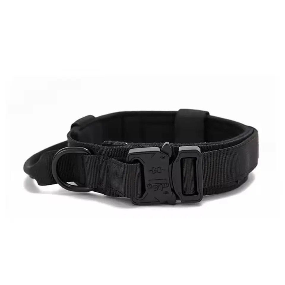 Collar para Mascotas 4