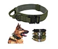 Collar para Mascotas - Miniatura 12