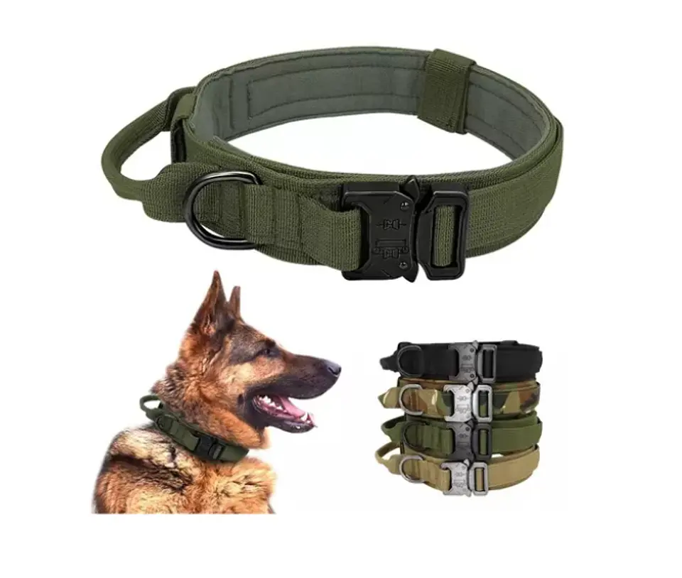 Collar para Mascotas 12