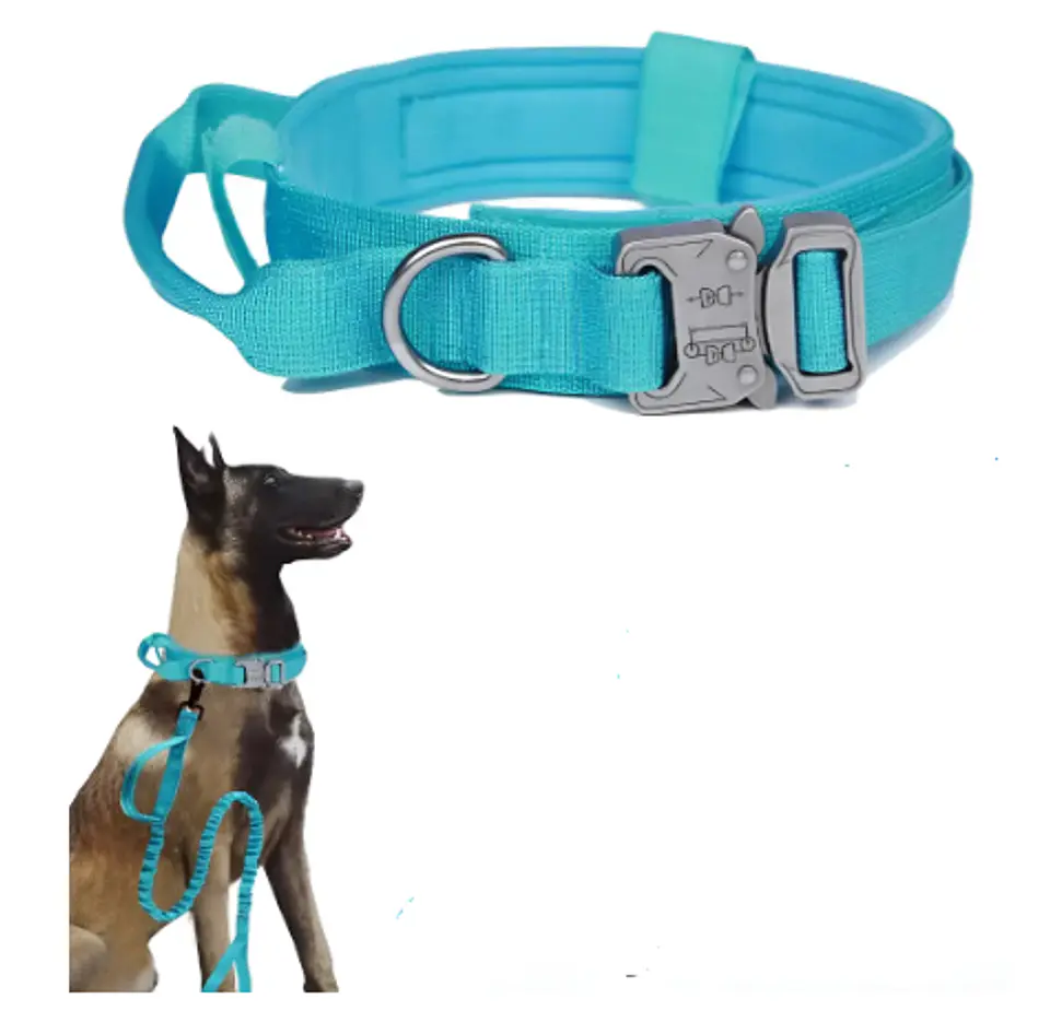 Collar para Mascotas 14