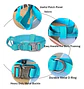 Collar para Mascotas - Miniatura 16