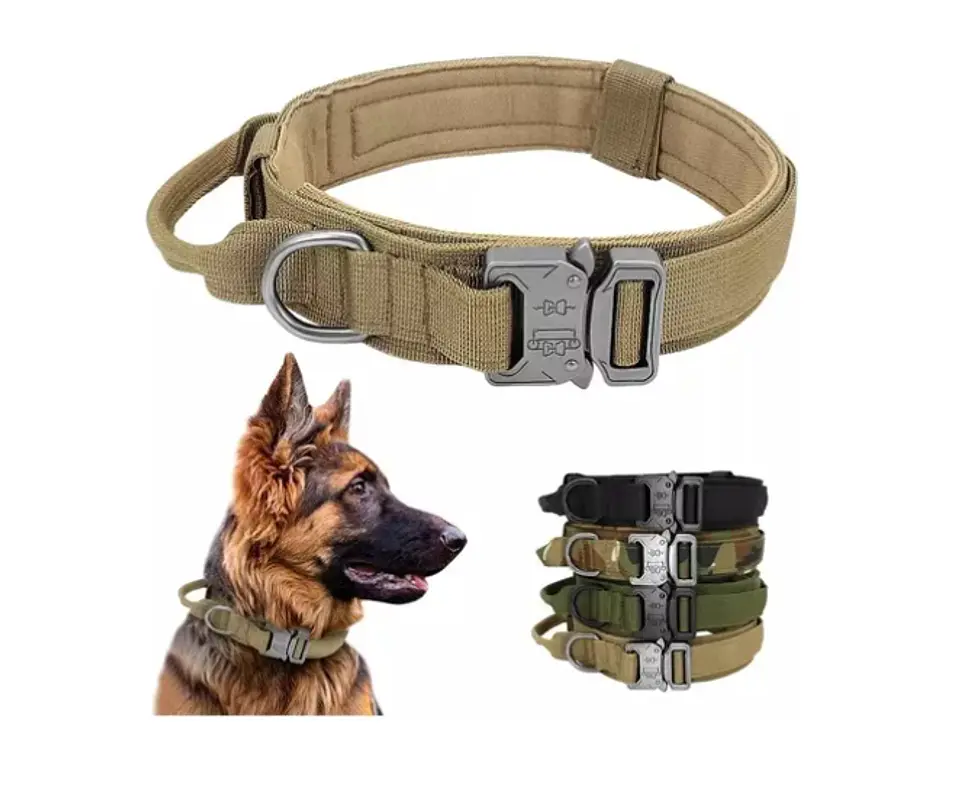 Collar para Mascotas 11