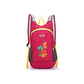 Mochila Chica New Outlander - Miniatura 3