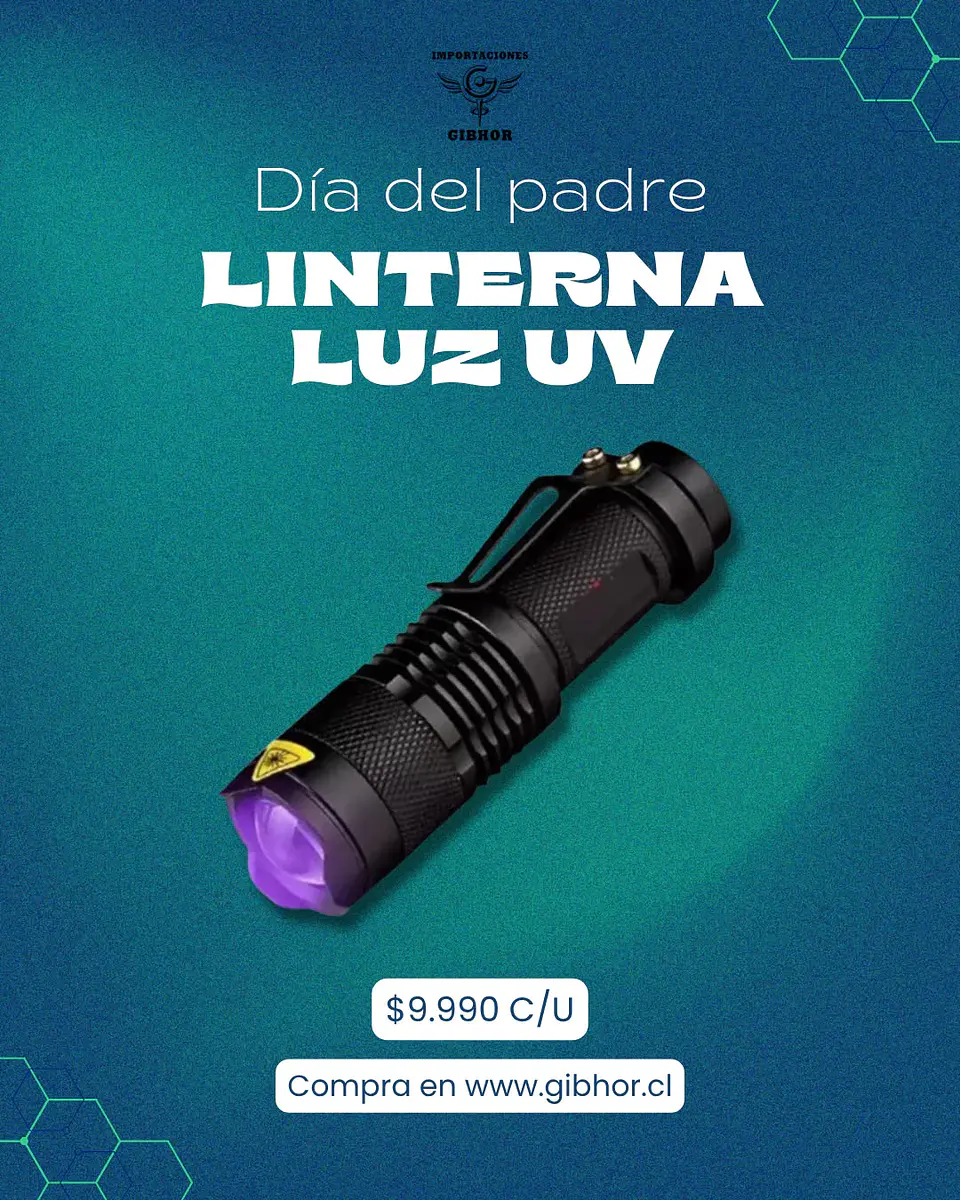 Linterna Luz UV Recargable 1