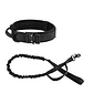Collar para Perros + Correa para Perros  - Miniatura 6
