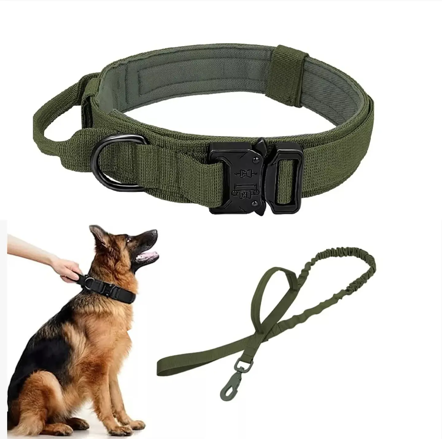 Collar para Perros + Correa para Perros  2