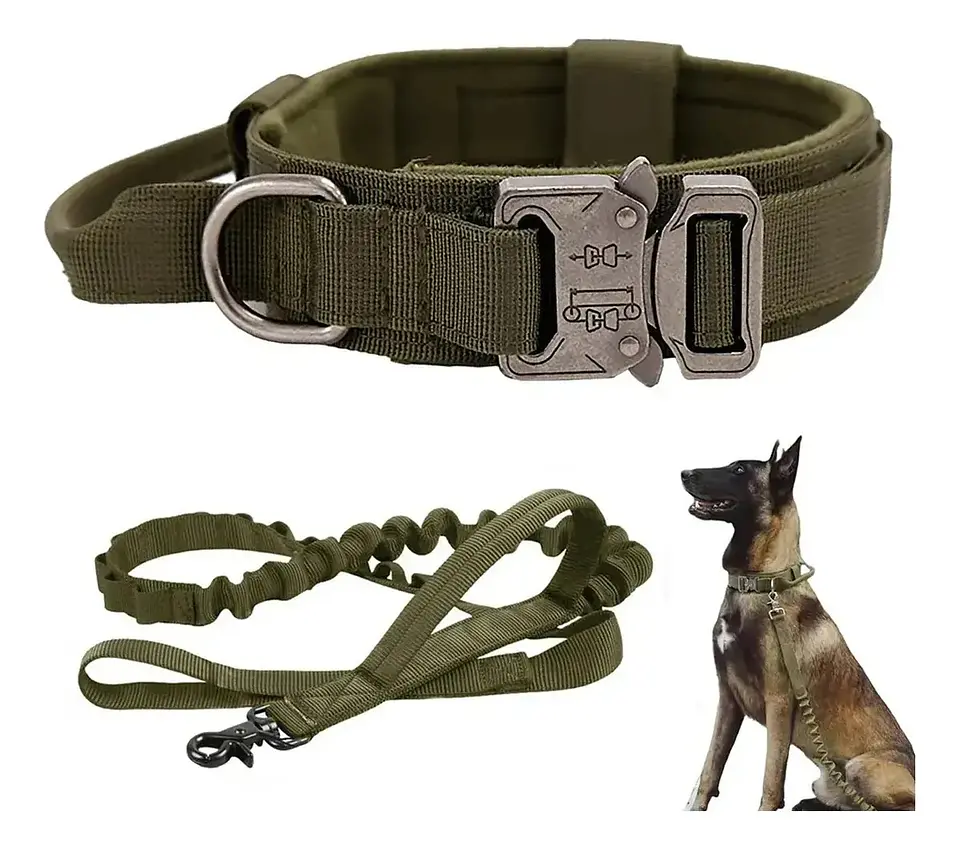 Collar para Perros + Correa para Perros  1