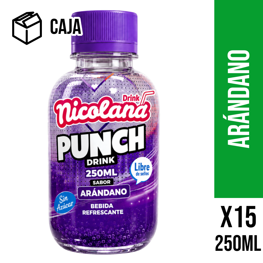 Punch Drink Arándano 250 ml 1