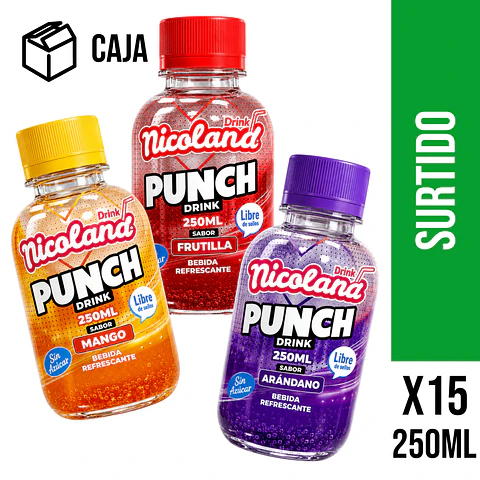 Punch Drink Surtida 250 ml
