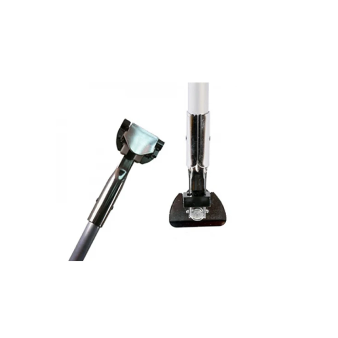 Mango clips Mopa seca  1