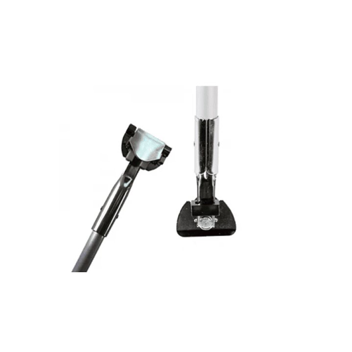 Mango clips Mopa seca  1