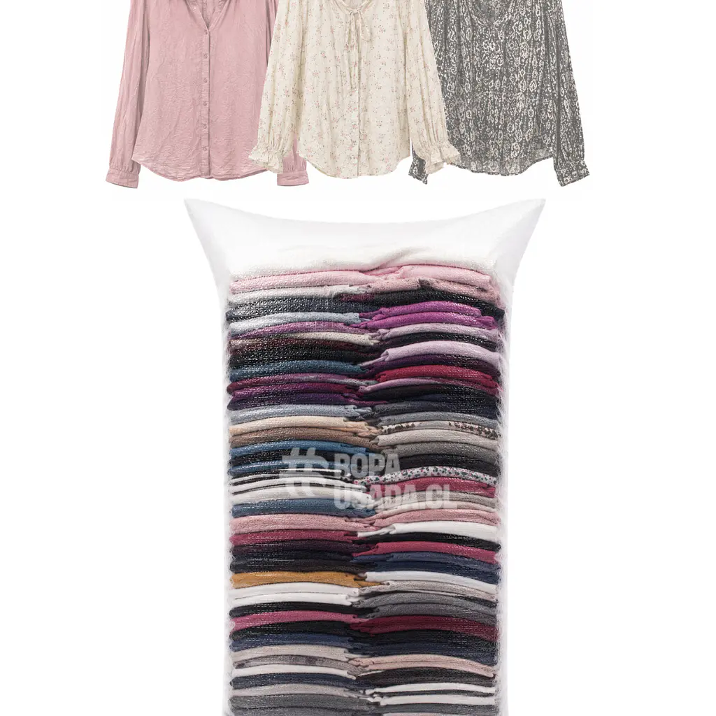 Mujer - Blusa Manga Larga /Segunda 1