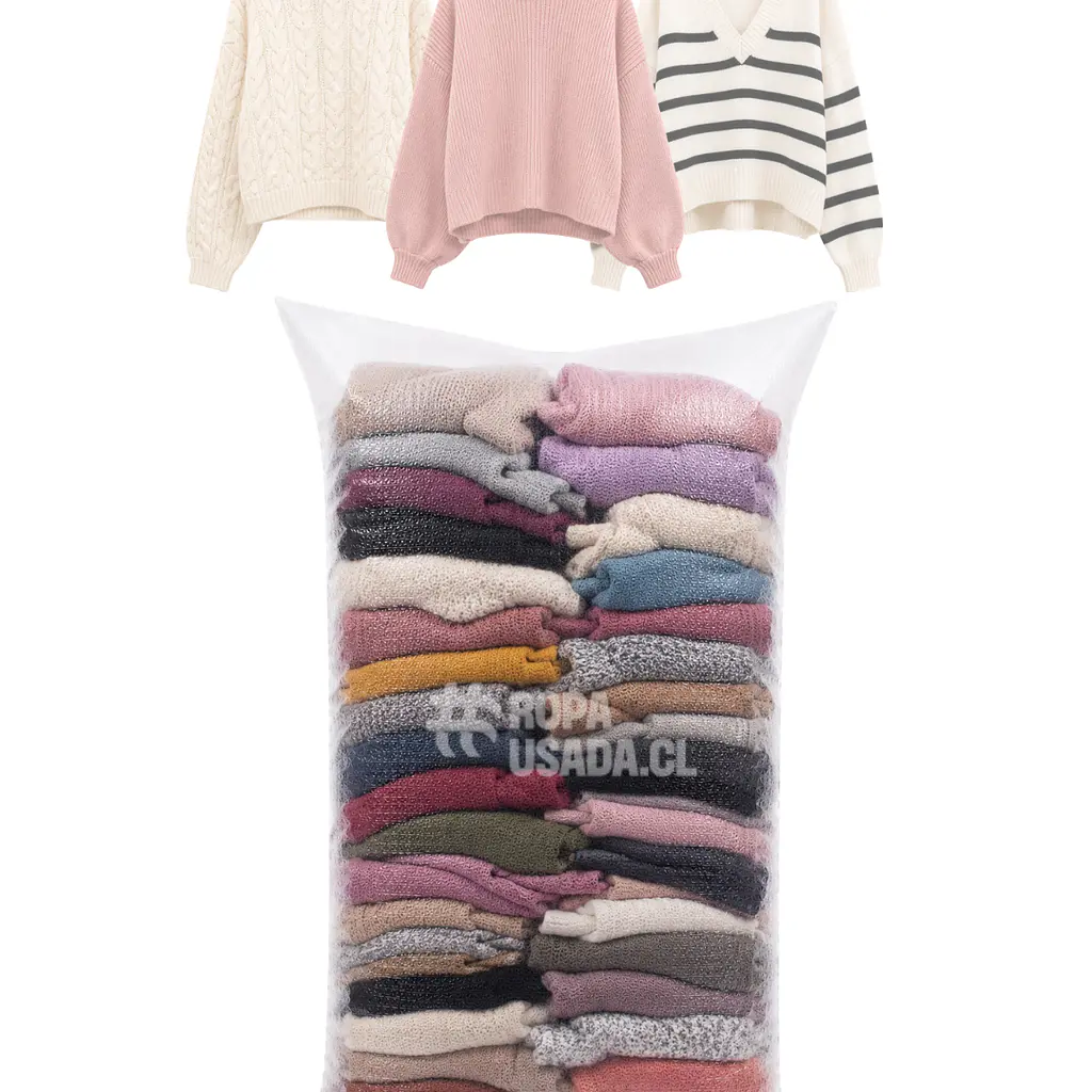 Mujer Sweater Juvenil /Primera 1