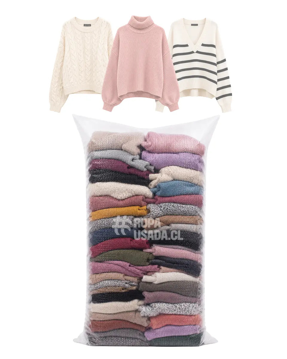 Mujer Sweater Juvenil /Primera 1