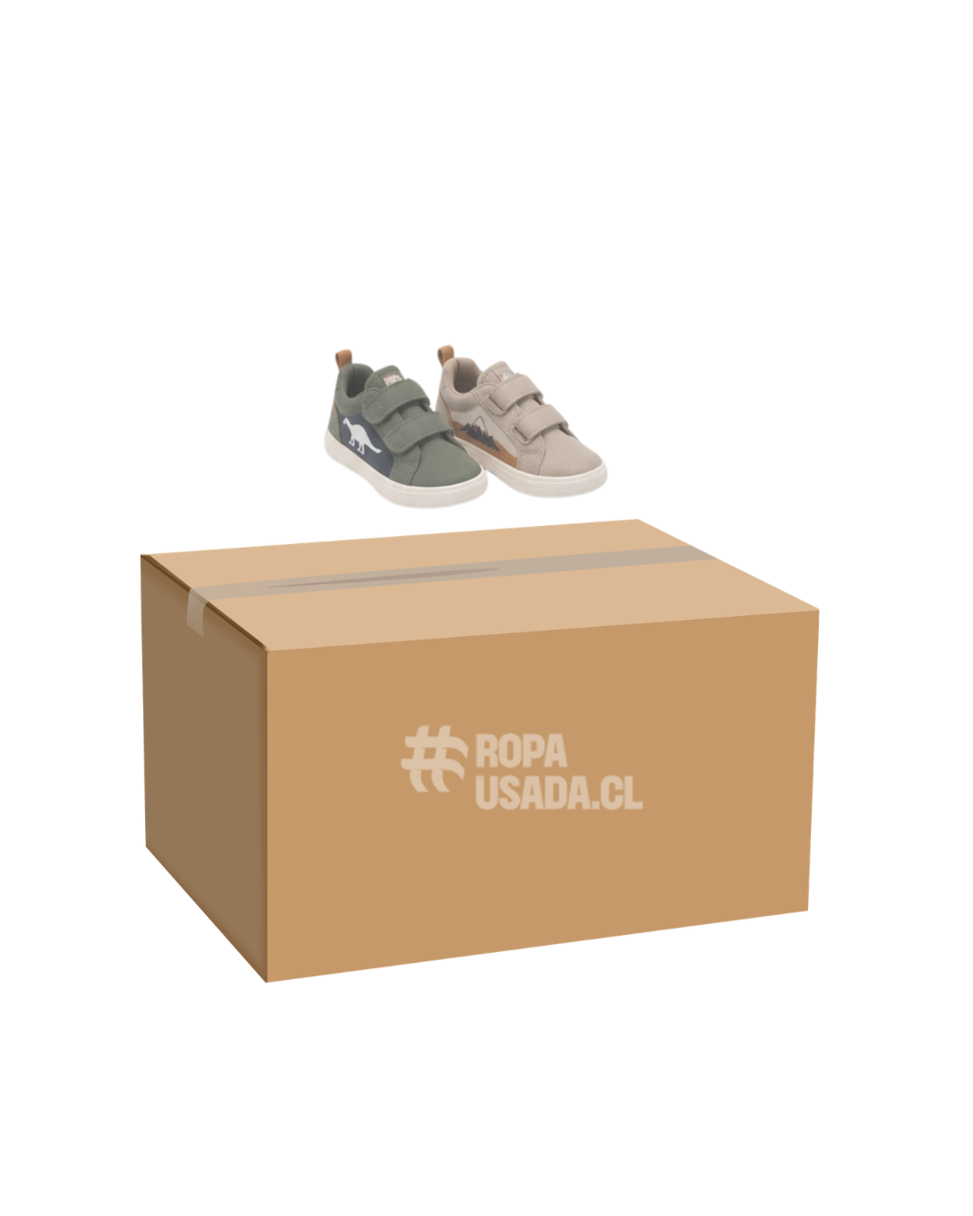 Calzado - Zapatilla infantil / Primera