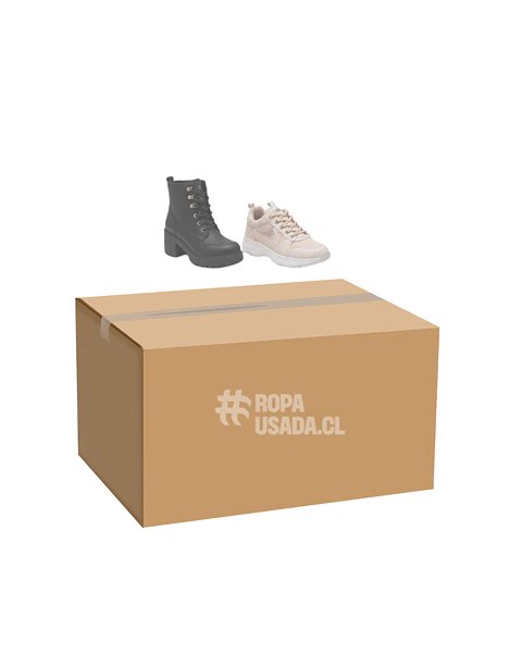 Calzado - Botines y zapatillas / Primera