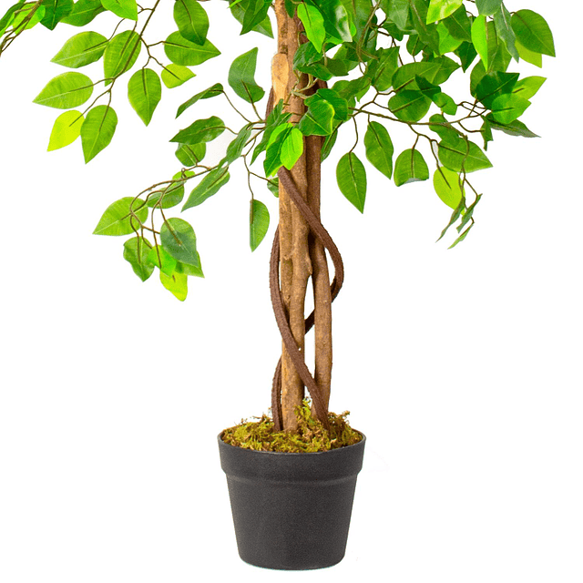 Planta Artificial Decorativa Arbol Grande Pack Ficus 120cm 6