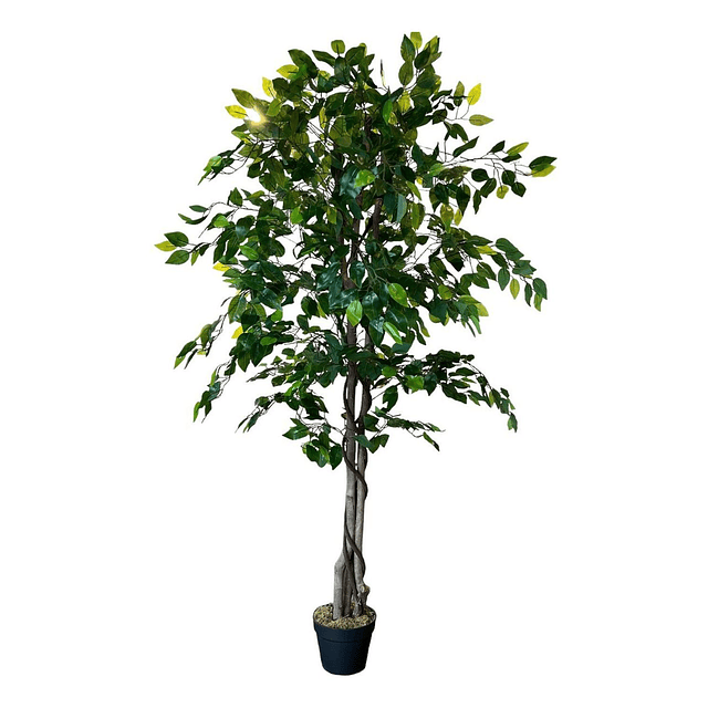 Planta Artificial Decorativa Arbol Grande Ficus 160cm 1008h 6