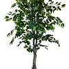 Planta Artificial Decorativa Arbol Grande Ficus 160cm 1008h 6
