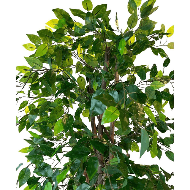 Planta Artificial Decorativa Arbol Grande Ficus 160cm 1008h 7