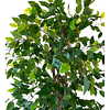 Planta Artificial Decorativa Arbol Grande Ficus 160cm 1008h 7