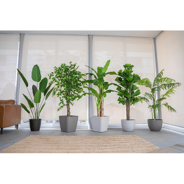 Planta Artificial Decorativa Arbol Grande Pack Bamboo 150cm 6