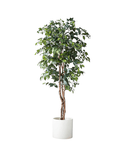 Planta Artificial Decorativa Arbol Grande Ficus 180cm 1260h