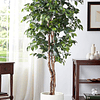 Planta Artificial Decorativa Arbol Grande Ficus 180cm 1260h 2
