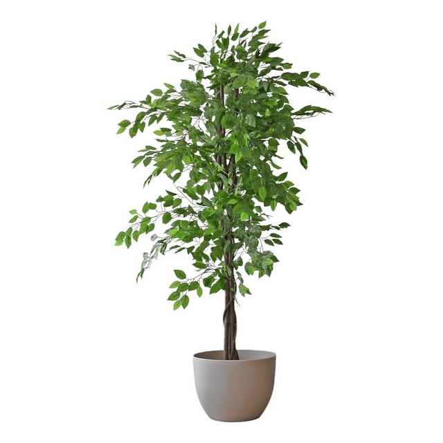 Planta Artificial Decorativa Arbol Grande Ficus 180cm 1260h 4