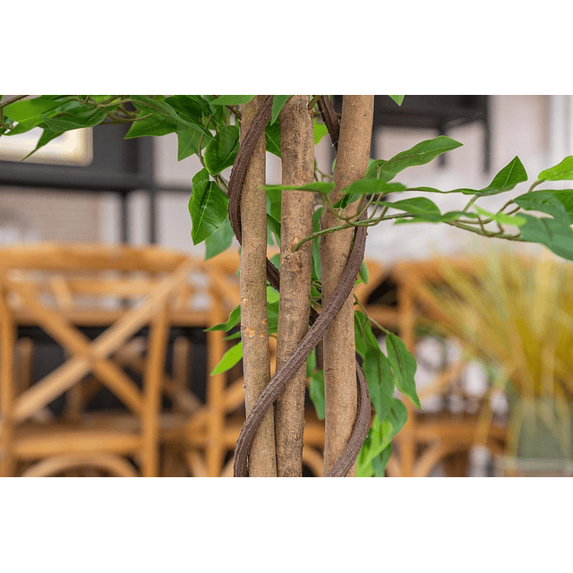 Planta Artificial Decorativa Arbol Grande Ficus 180cm 1260h 6