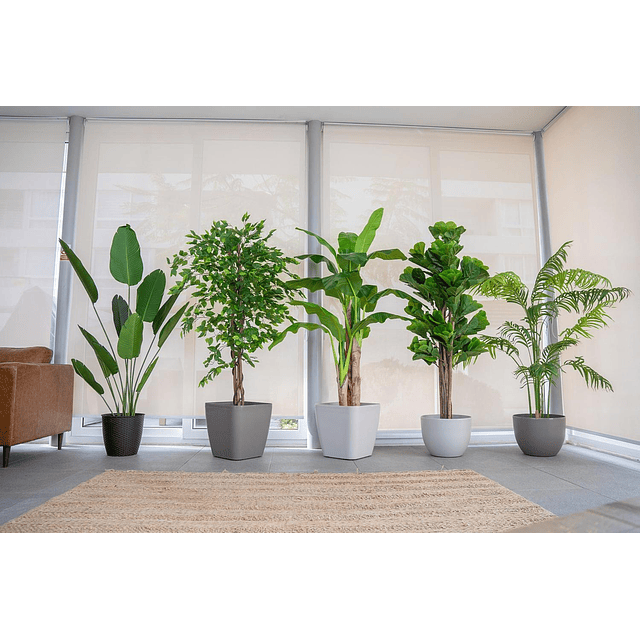 Planta Artificial Decorativa Arbol Grande Ficus 180cm 1260h 7