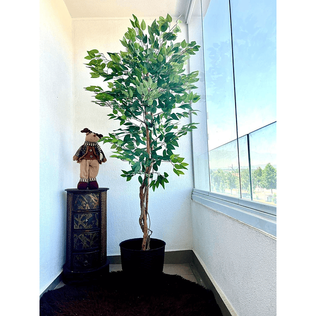Planta Artificial Decorativa Arbol Grande Ficus 180cm 1260h 8
