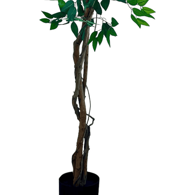 Planta Artificial Decorativa Arbol Grande Ficus 180cm 1260h 11