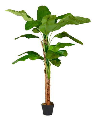 Planta Artificial Decorativa Arbol Grande Banano 160cm 15hj