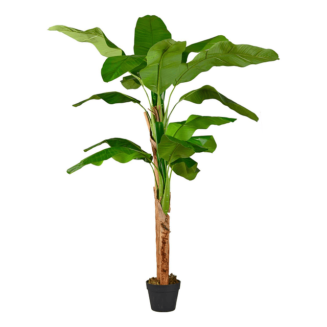 Planta Artificial Decorativa Arbol Grande Banano 160cm 15hj 1