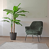 Planta Artificial Decorativa Arbol Grande Banano 160cm 15hj 2