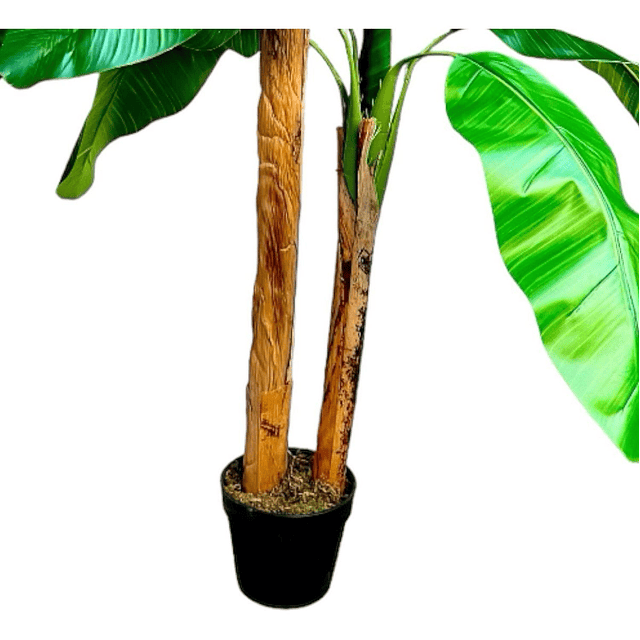 Planta Artificial Decorativa Arbol Grande Banano 160cm 15hj 6