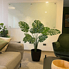 Planta Artificial Decorativa Arbol Grande Monstera 120cm 10h 2
